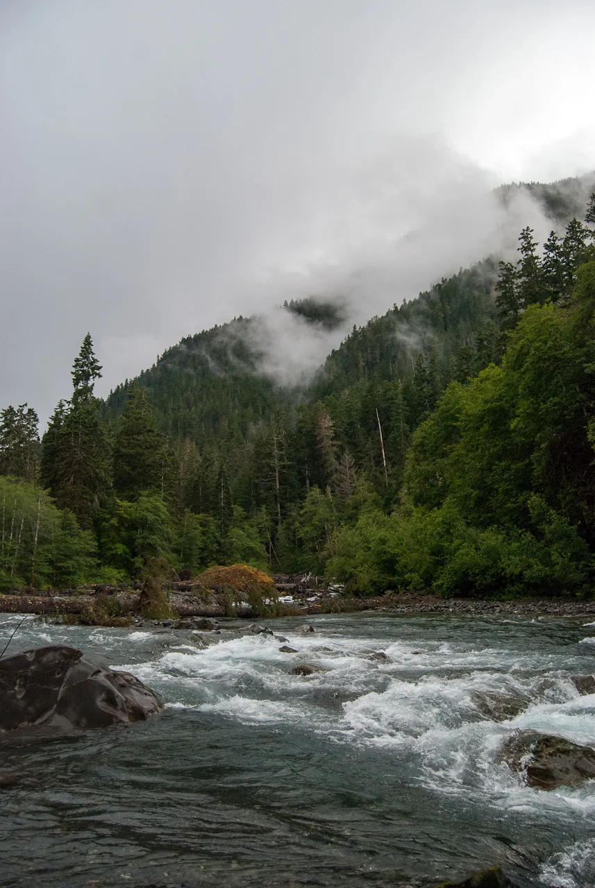 DSC_0795.jpg