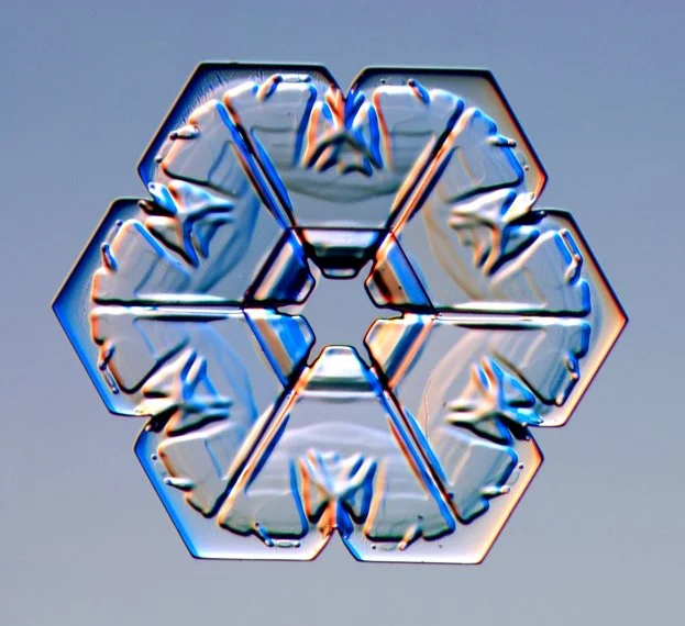 8mT6sCC.jpg