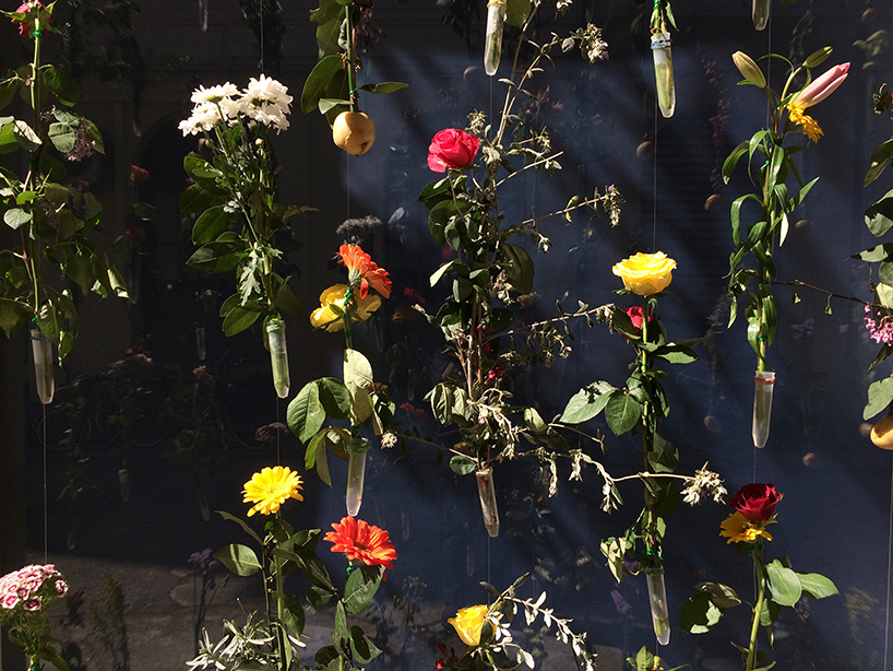 (source: designboom )