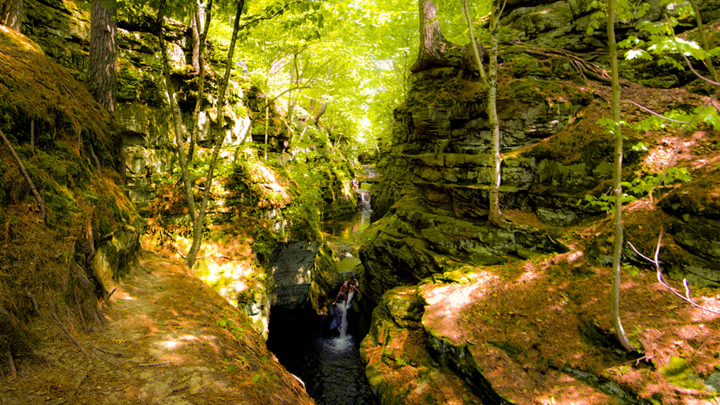 Kenneth Casper | Foliage Update: tourism.state.wi.us