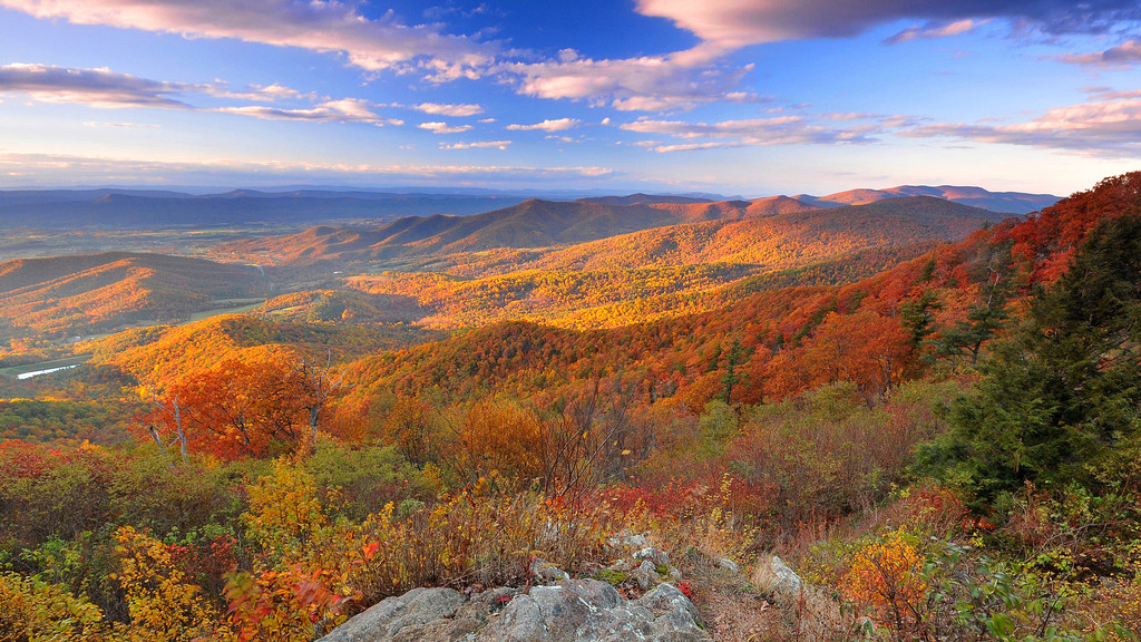 Kevin Kelley | Foliage Update: virginia.com