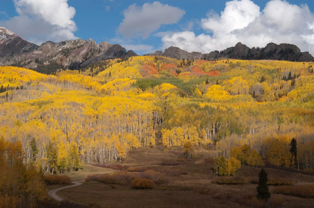 Jeff Foster | Foliage Update: gunnisoncrestedbutte.com