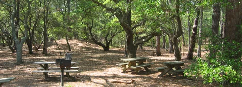 -First Landing State Park