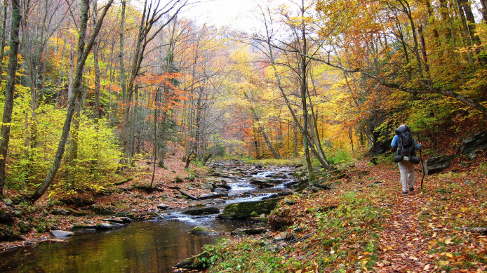 - Beth Adelson, Spruce Knob Lake Campground 