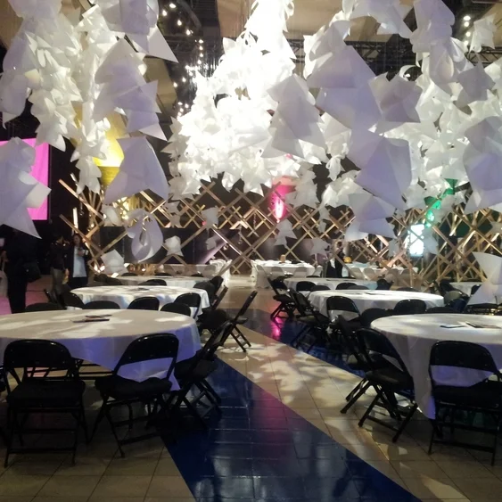 Spotting Social Innovation at the Ignite Festival