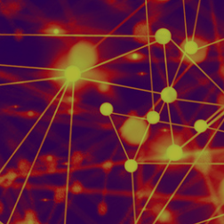 Introducing Alberta Social Innovation (ABSI) Connect!