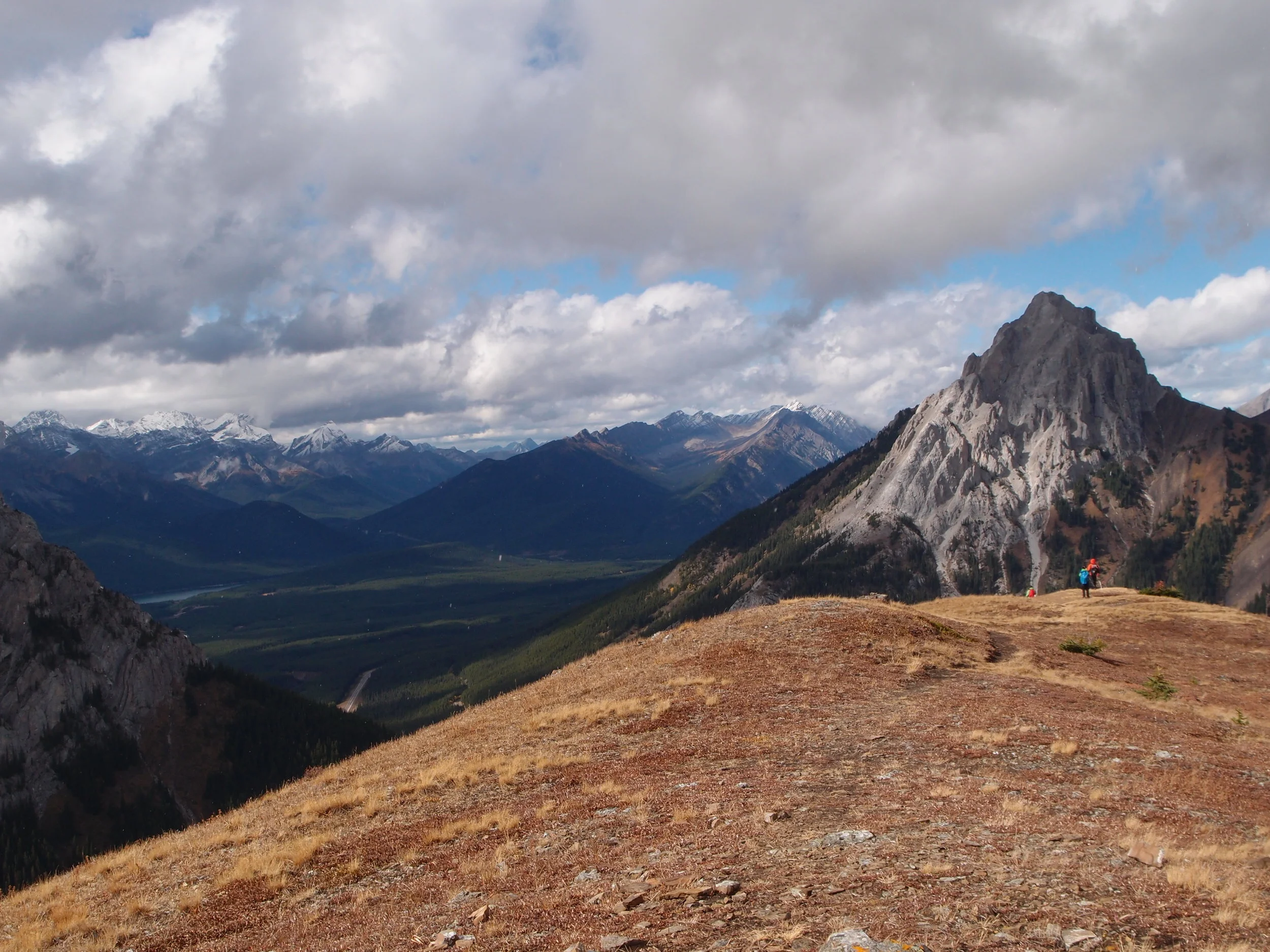 Patterns &amp; Progress:  Social Innovation in Alberta Today