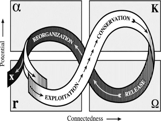 A representation of the panarchy cycle, taken from https://www.resalliance.org/adaptive-cycle