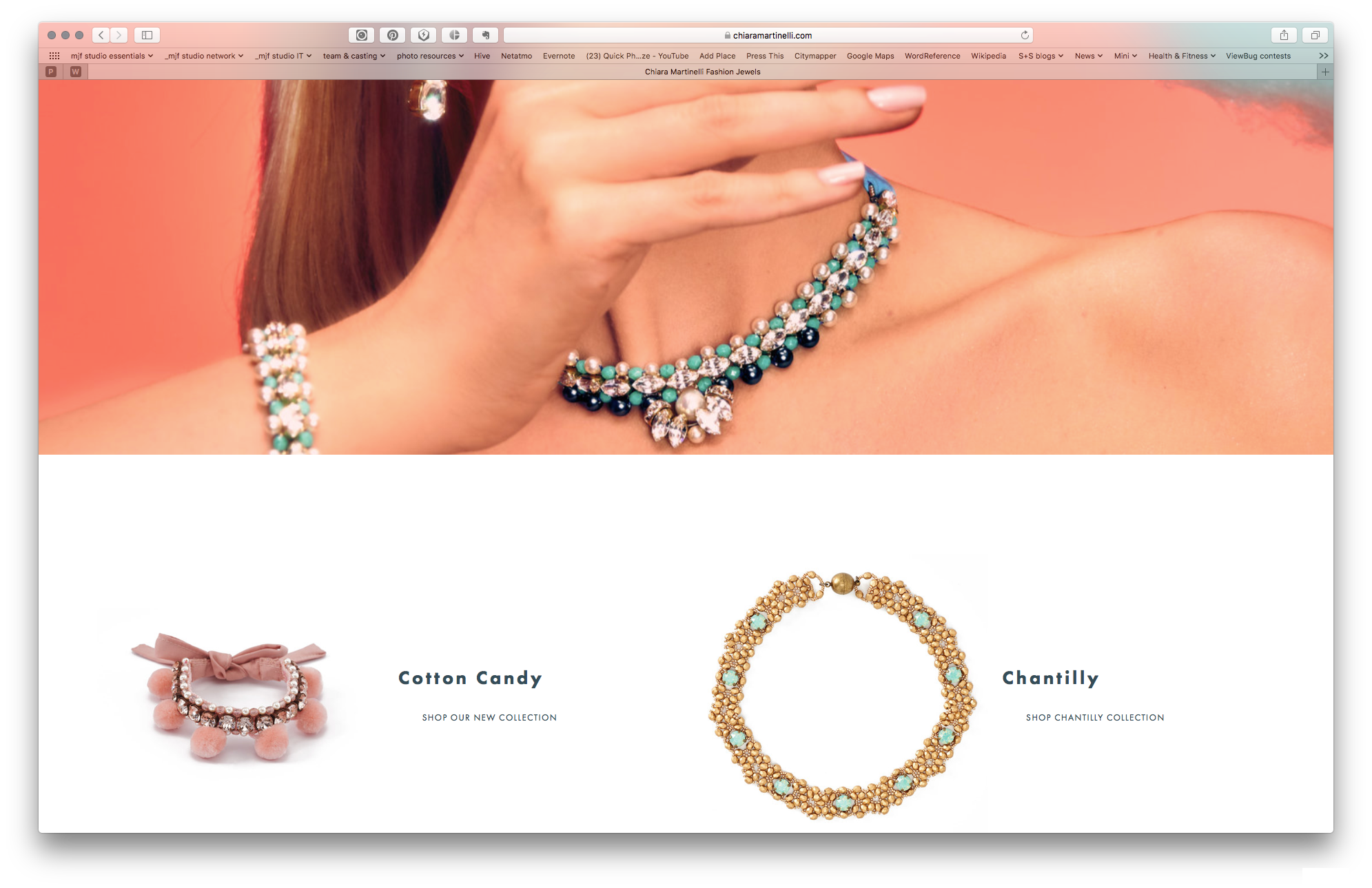 CHM web screenshot 04.png