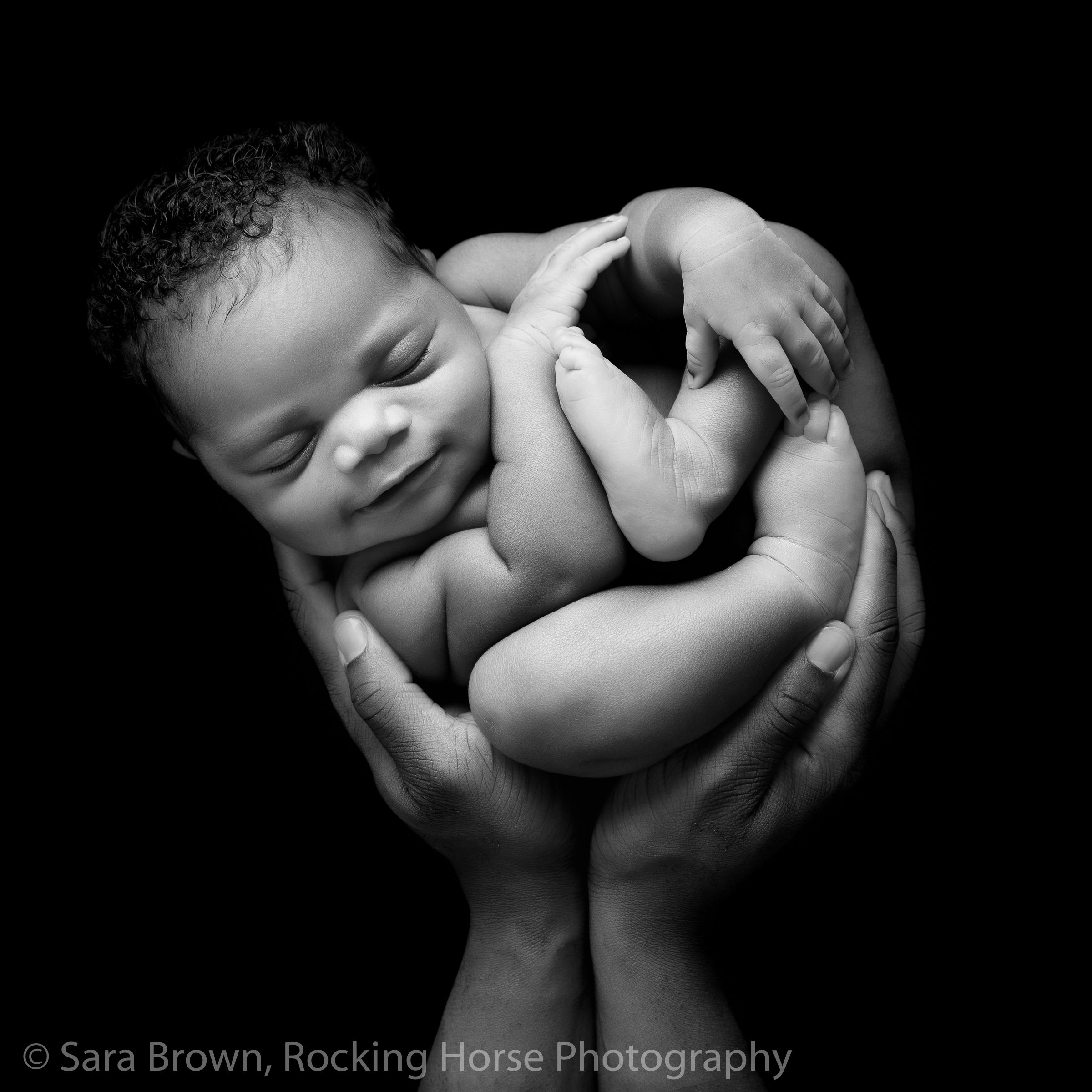 newborn baby held in parent's hands