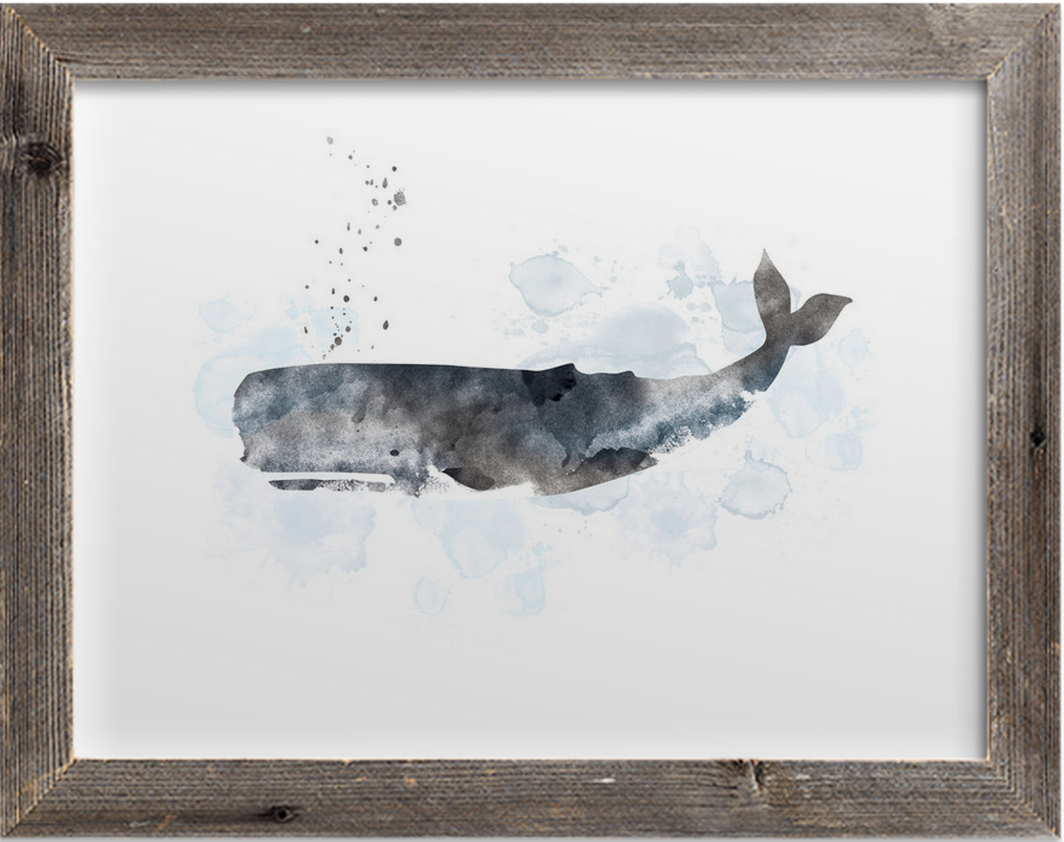 Whale Series One