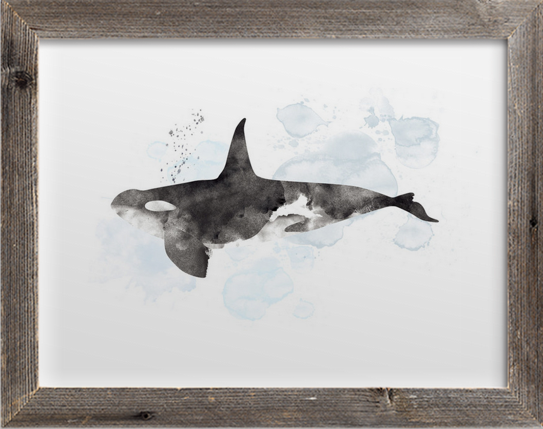 Whale Series Three