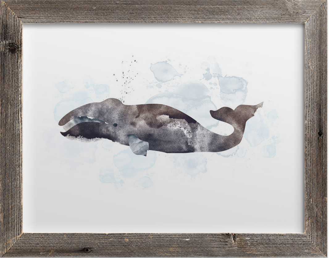 Whale Series Four