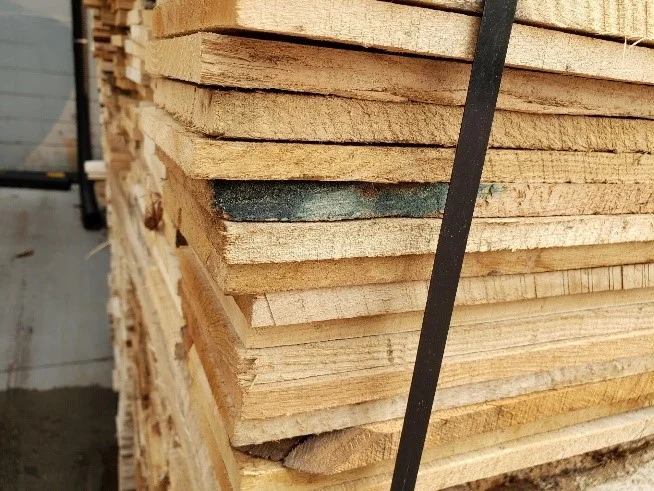 Blue stain fungus visible on pallet lumber cross-section