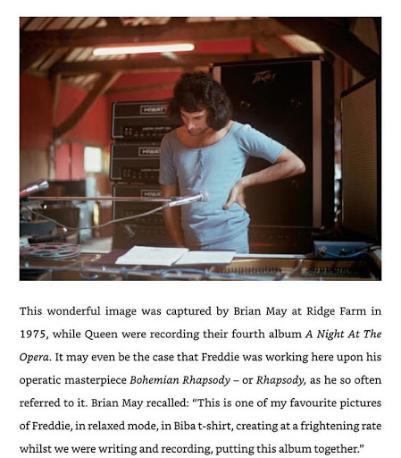 Freddie Mercury Bohemian Rhapsody.png