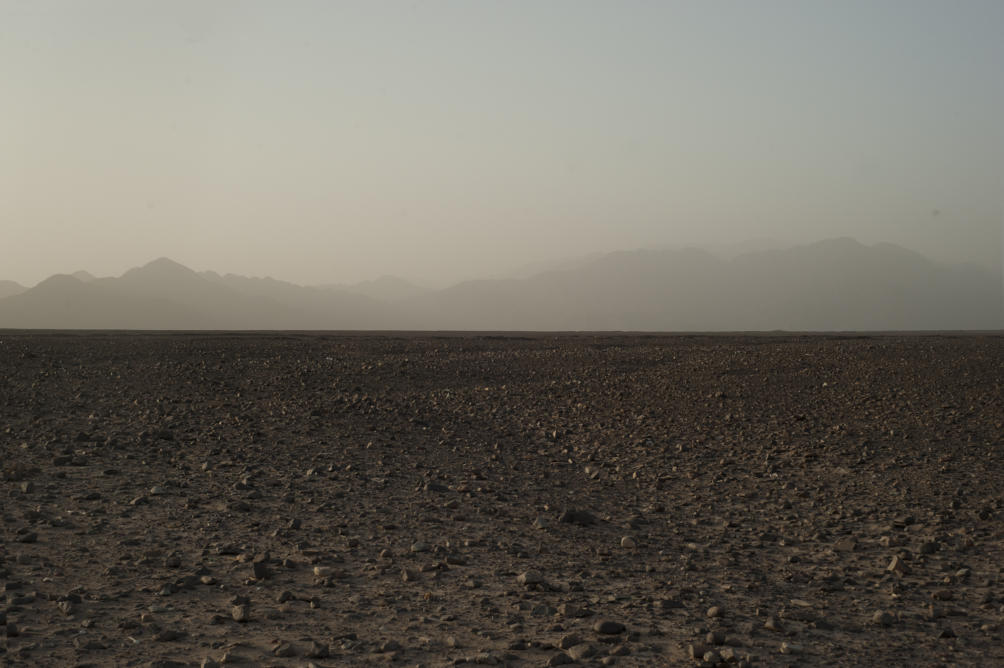 _DSC5550.jpg