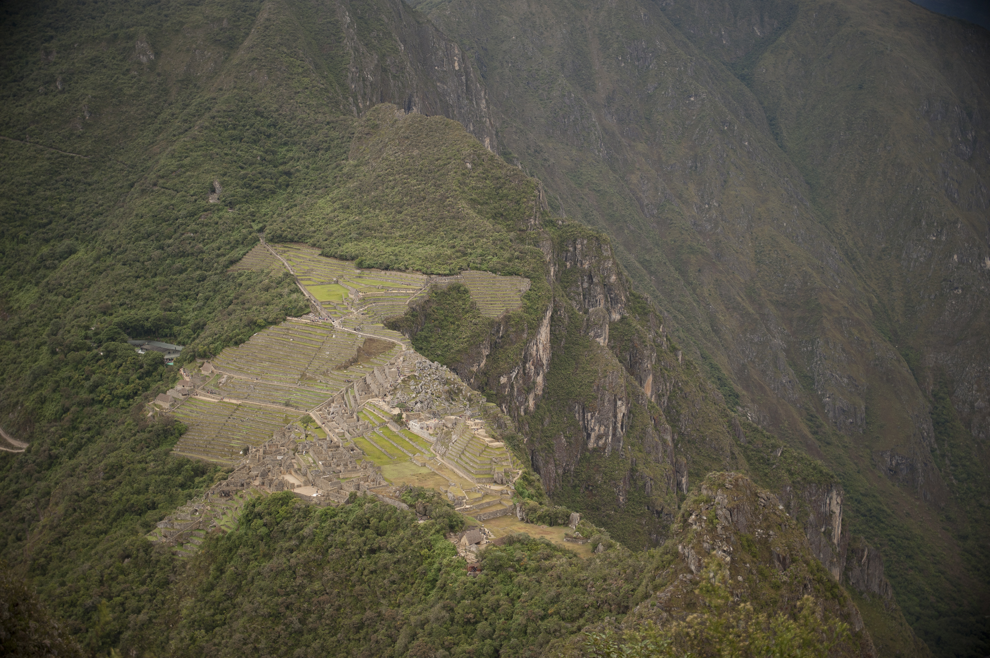 _DSC5096.jpg