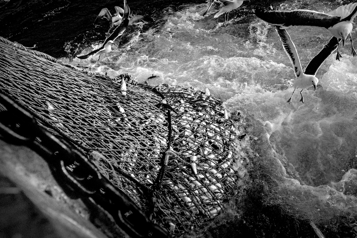 Galibier 193_DxO-Modifier.jpg