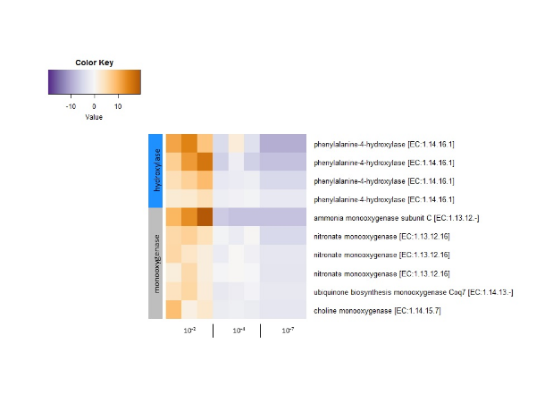 Counts of significantly differentially expressed genes (likelihood ratio, p adj < 0.05) that were also significantly associated with EE2 biotransformation (Spearman, p < 0.05). The vertical bar on the left shows monooxygenase genes (grey) and hydroxylase genes (blue). Genes with the same name are unique sequences that were annotated with the same KEGG Orthology. 