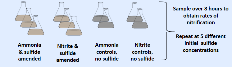 Analyzing activated sludge from two different treatment processes to obtain inhibition constants. Linked with community using sequencing of the 16S rRNA gene (both DNA and complementary DNA).