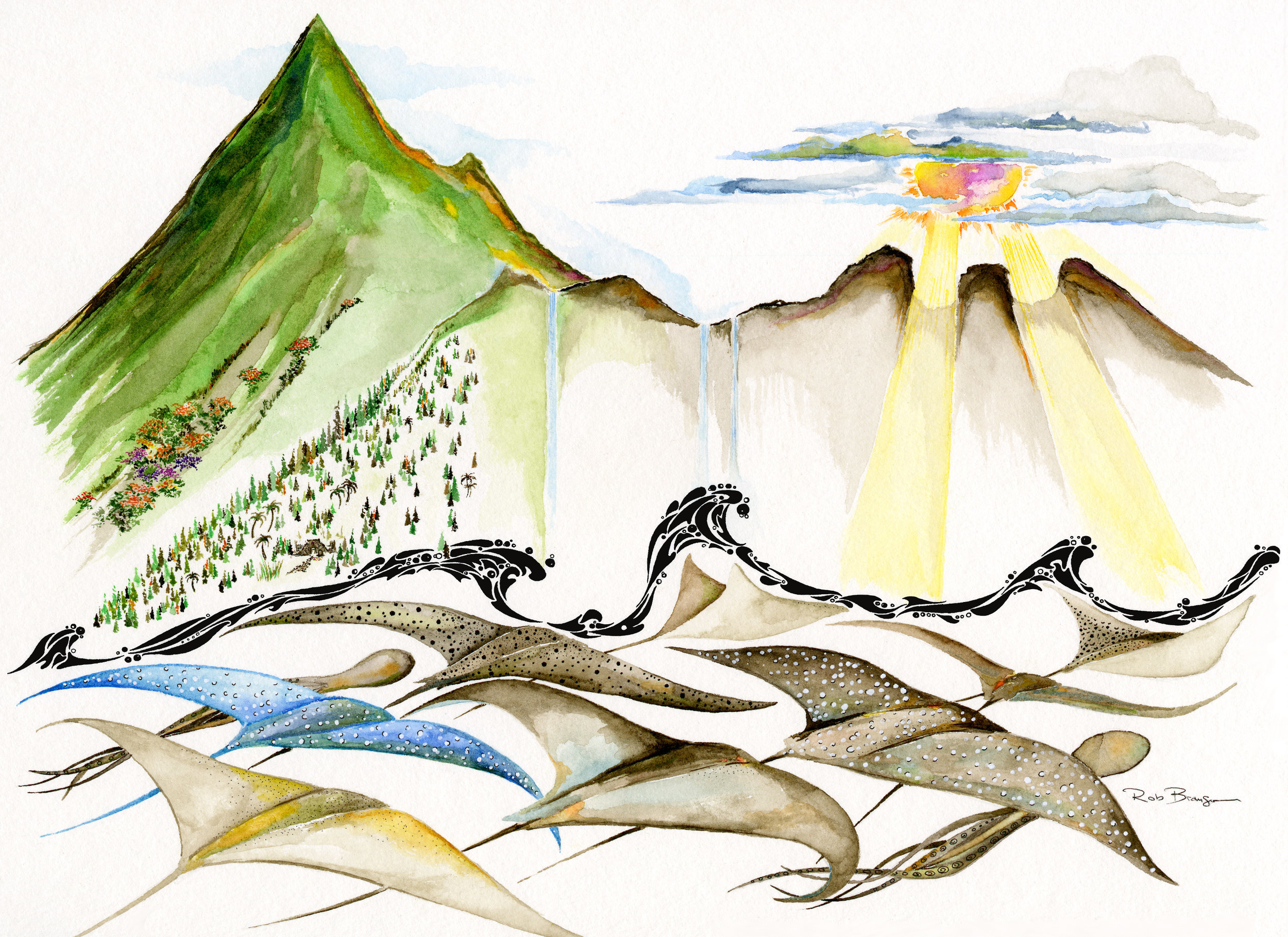 Chasing Rays 8x11.jpeg