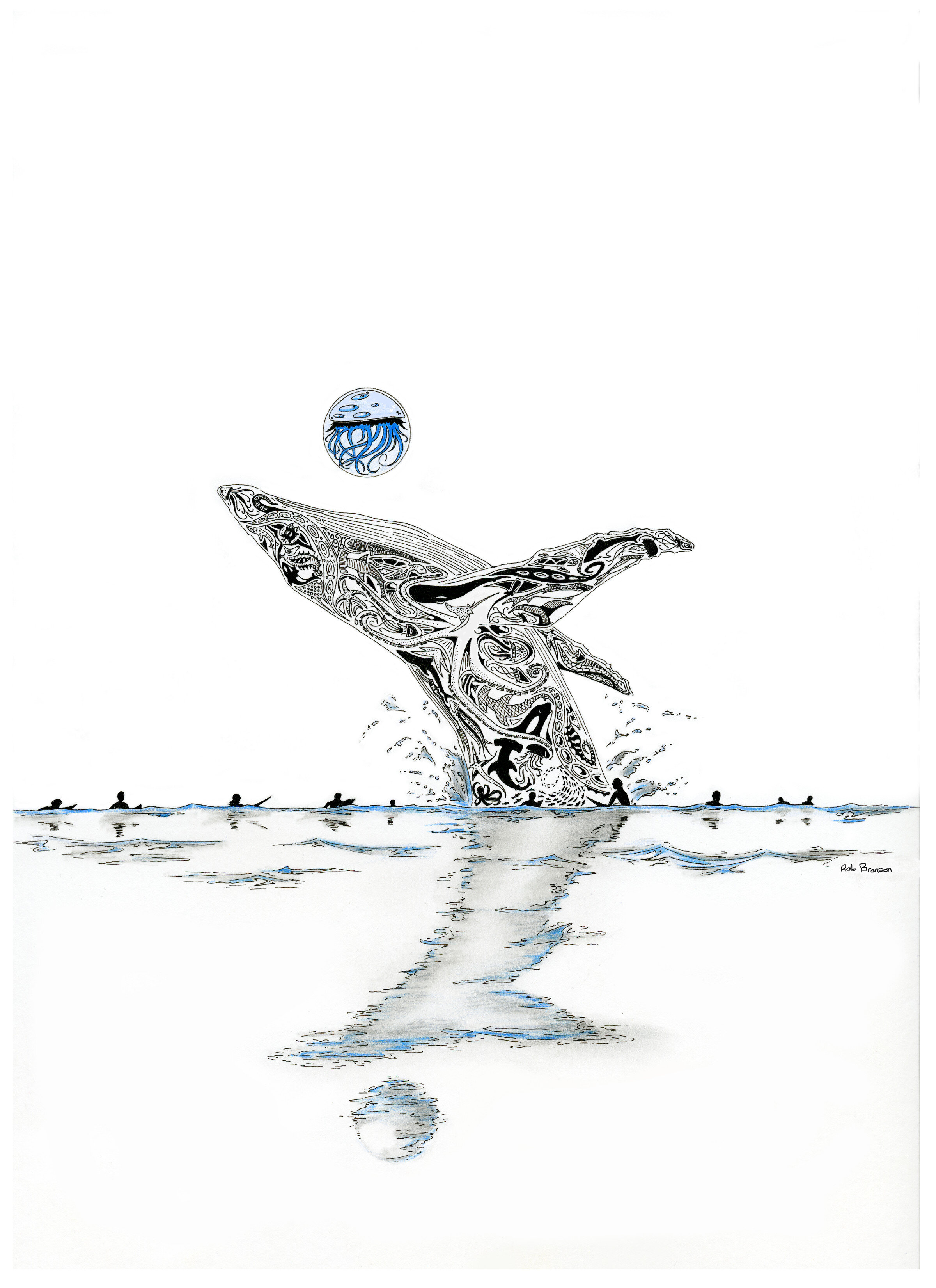 Blue Whale 8x11.jpeg