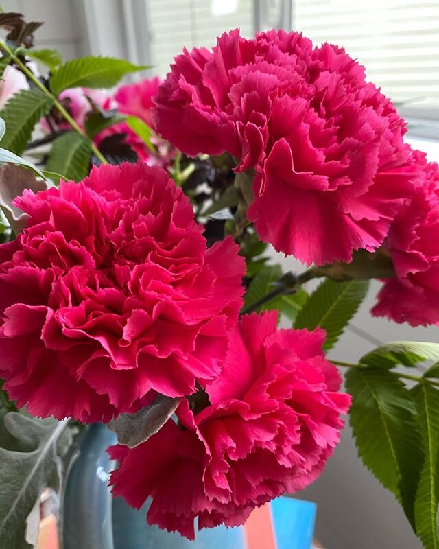 Let&rsquo;s hear it for the Carnations! Sometimes underrated, but these beauties prove they are still a winner. These stunning colorful flowers are from the local farmer.  #localgrown #color #flowers #carnations #stunning #nature #naturesbeauty #petr