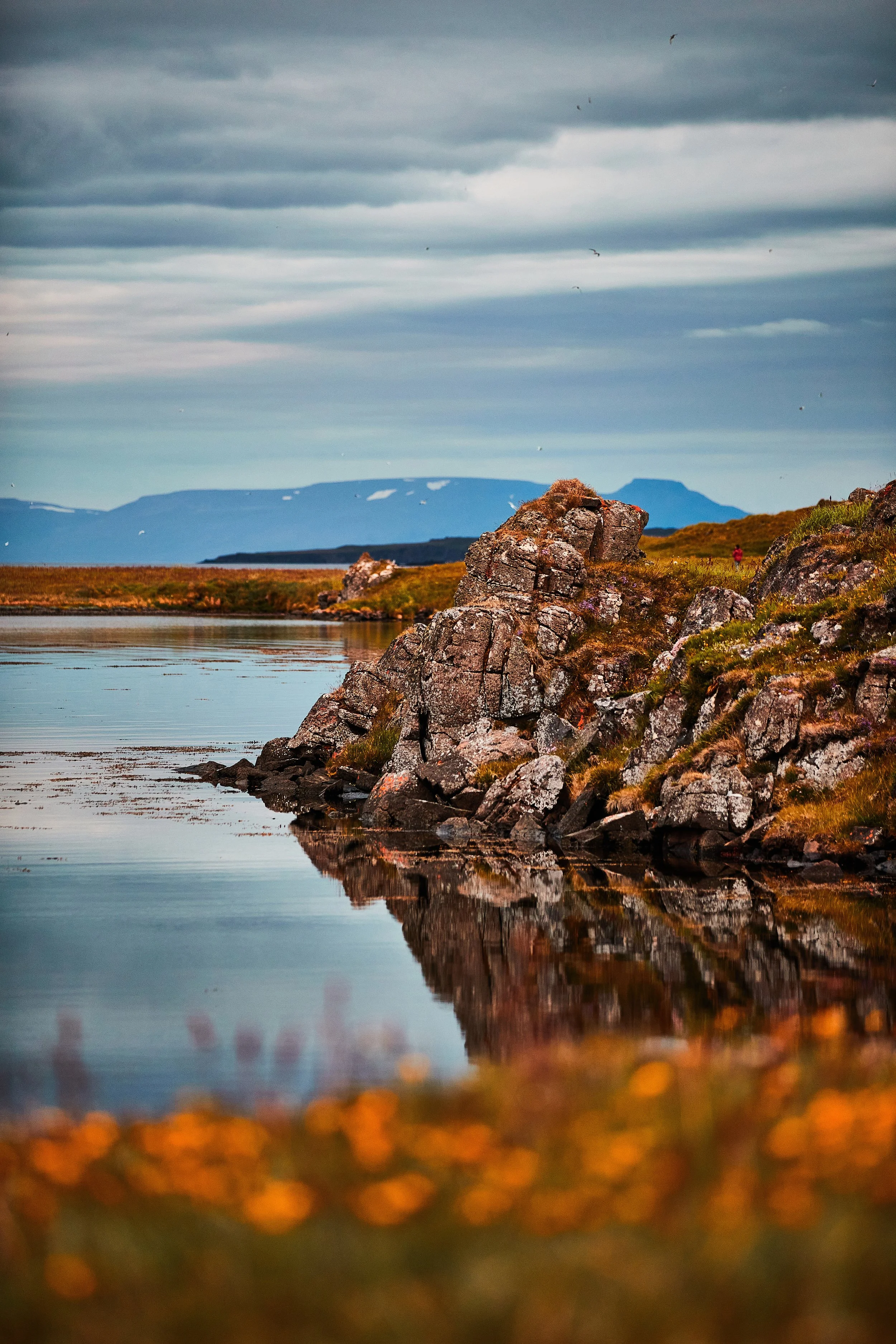 Nature Park in Westfjords, Iceland