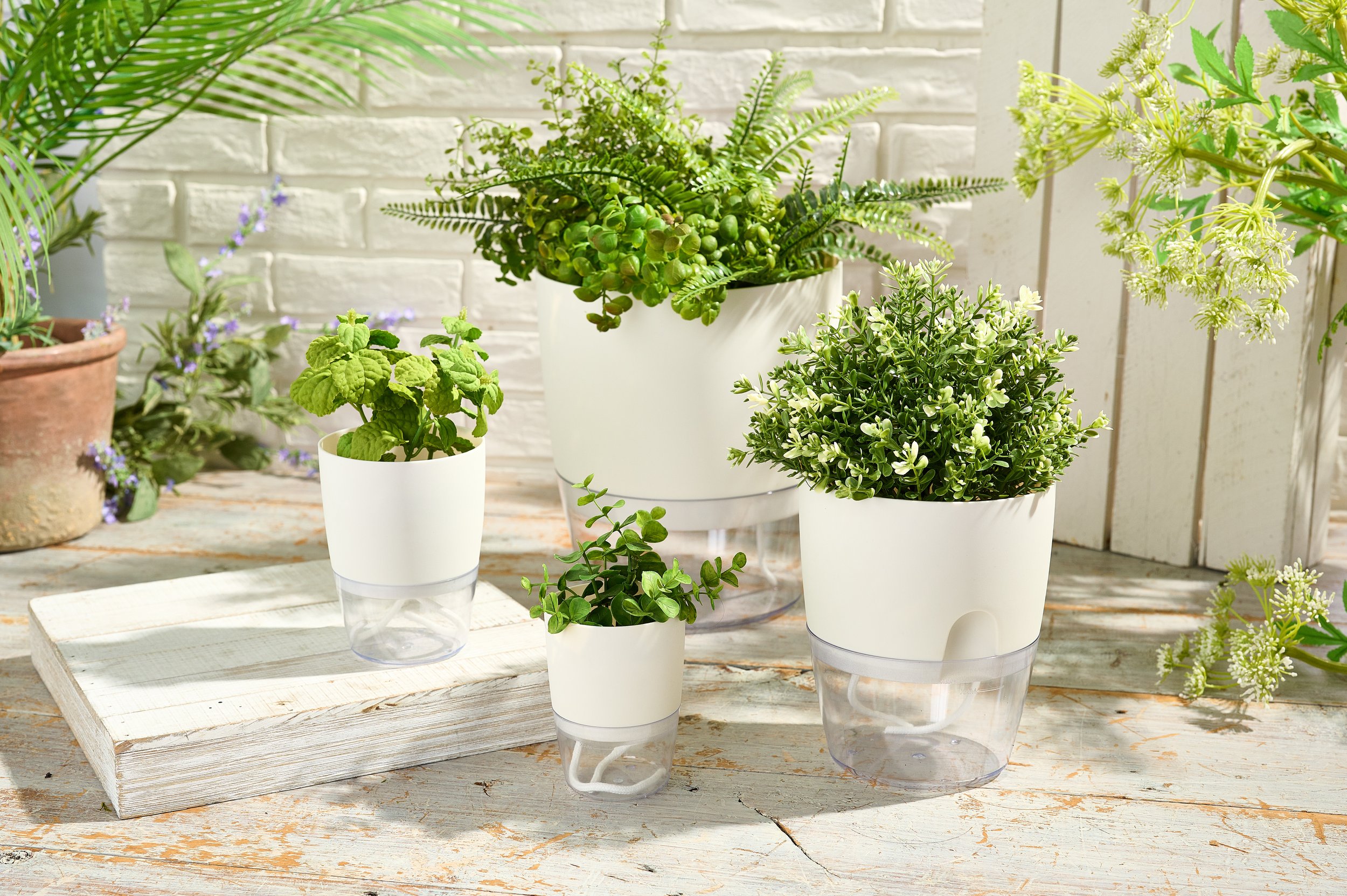 Planter product shot for QVC