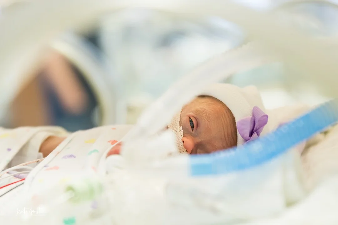27 Week Twins | Preemies | NICU Portrait Session | Charlotte, North Carolina