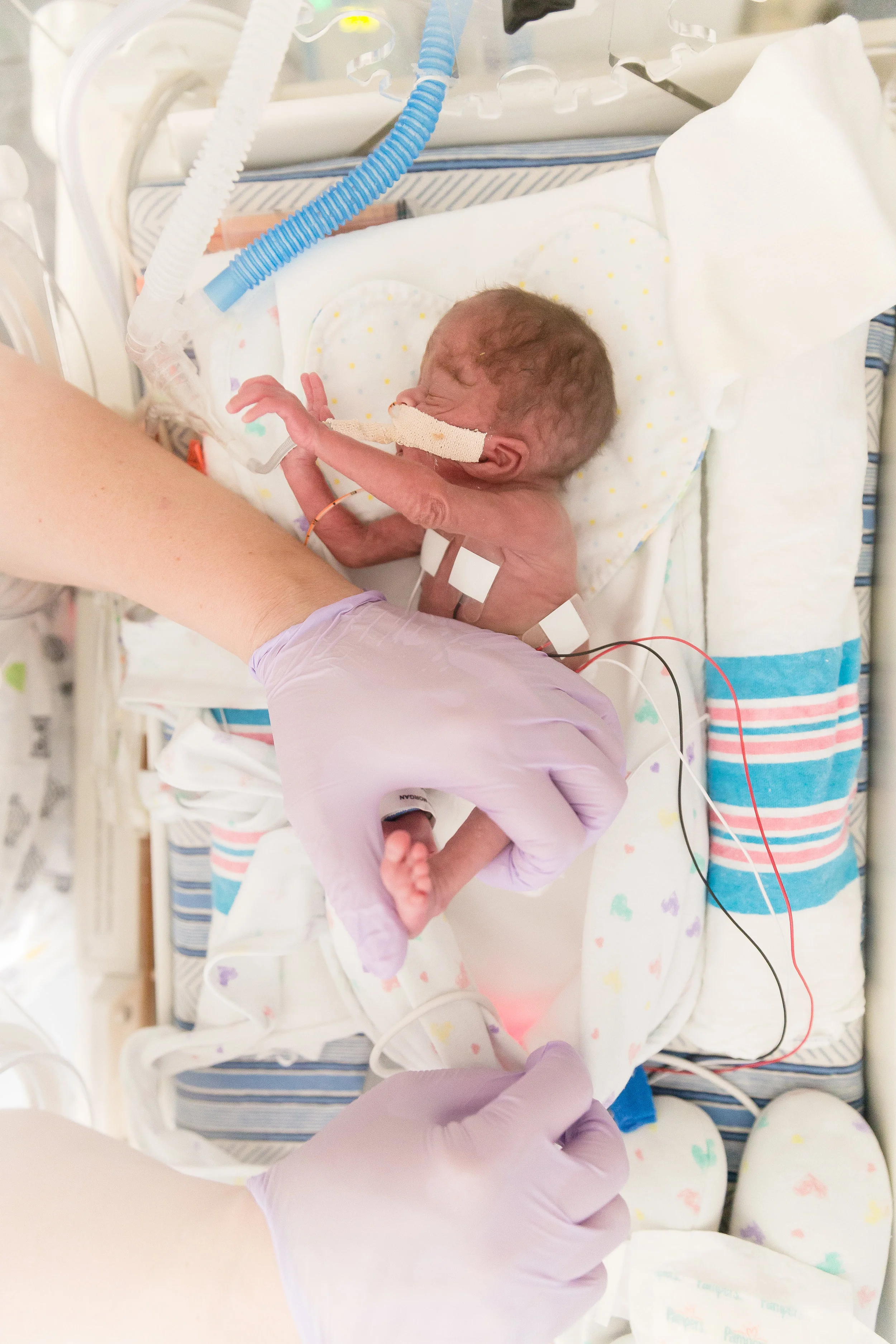 Sebastian | 22 Week Preemie | NICU Portraits | Charlotte, North Carolina NICU Photographer | Krista Gantt Photography