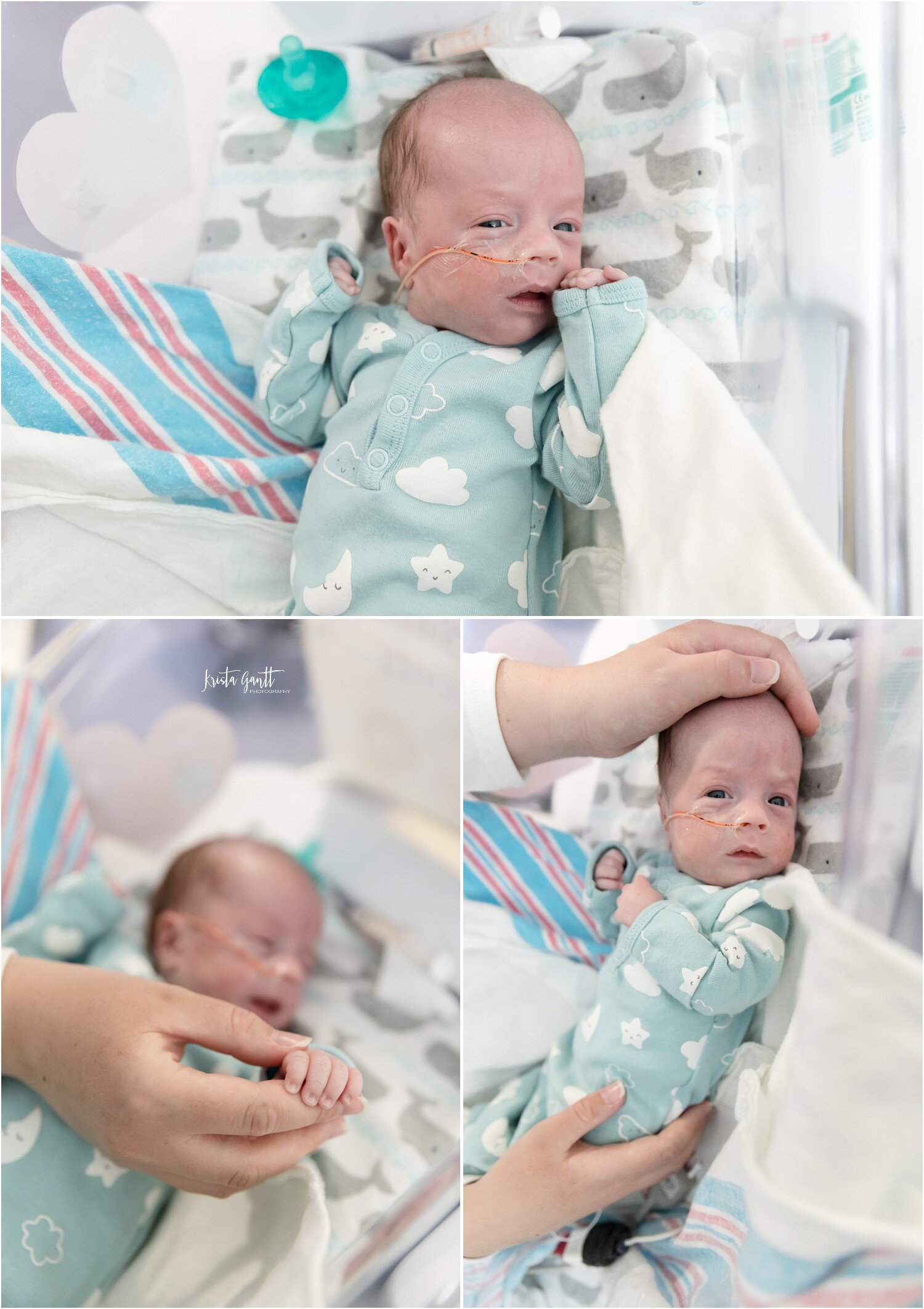 Krista Gantt Photography Charlotte NC Newborn Photographer_2397.jpg