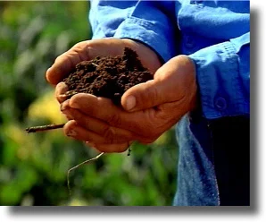 soil-766281_1920.jpg