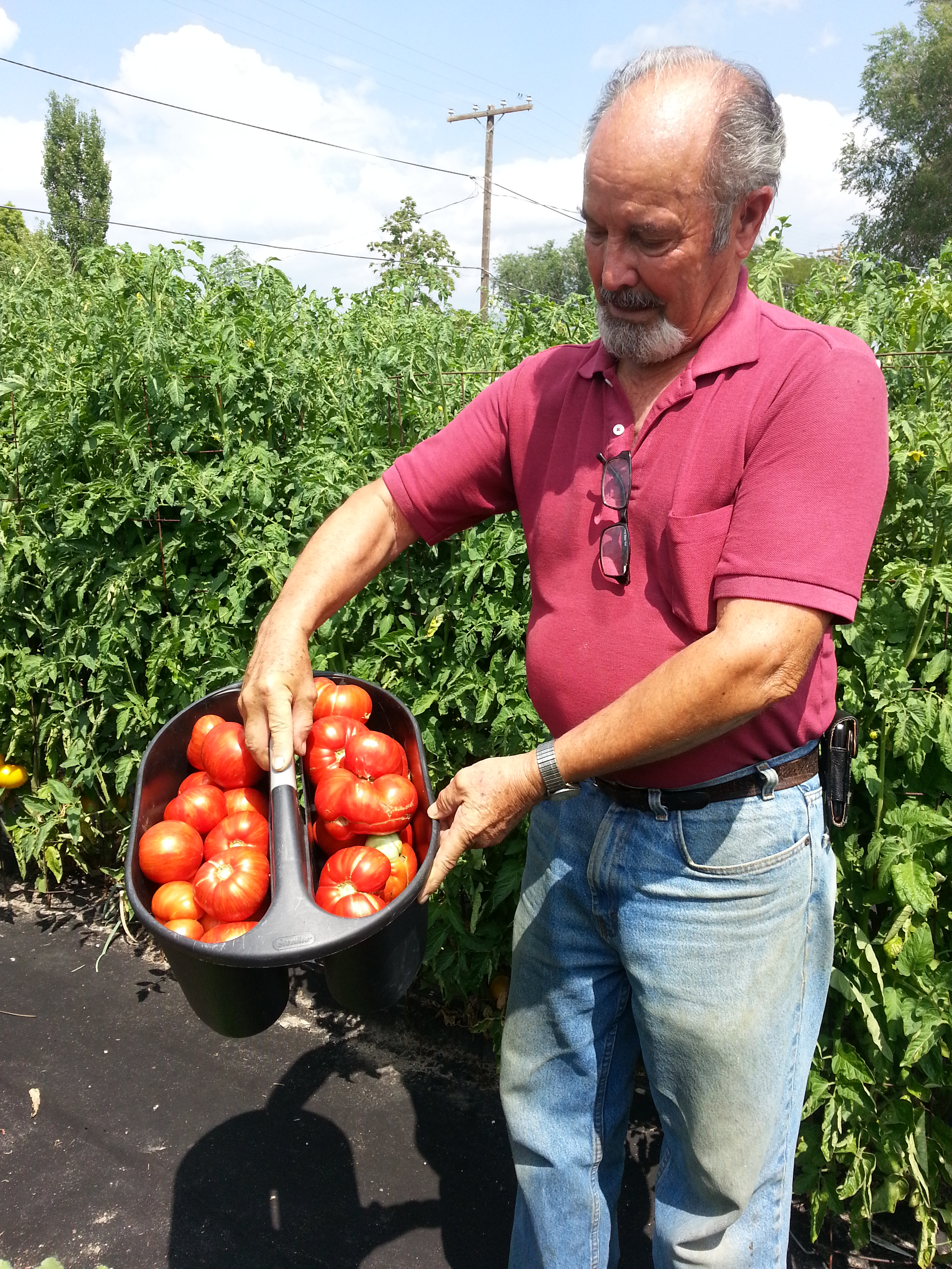 Joe's 1st Harvest.jpg