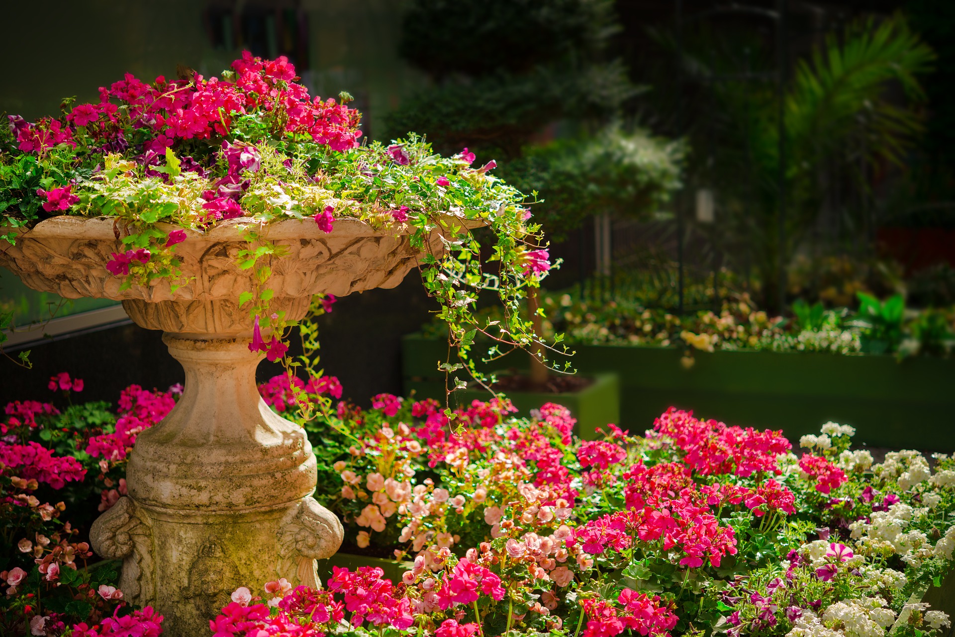nature-670516_1920.jpg