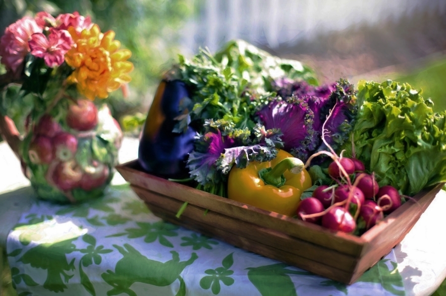vegetables-790021_1920.jpg