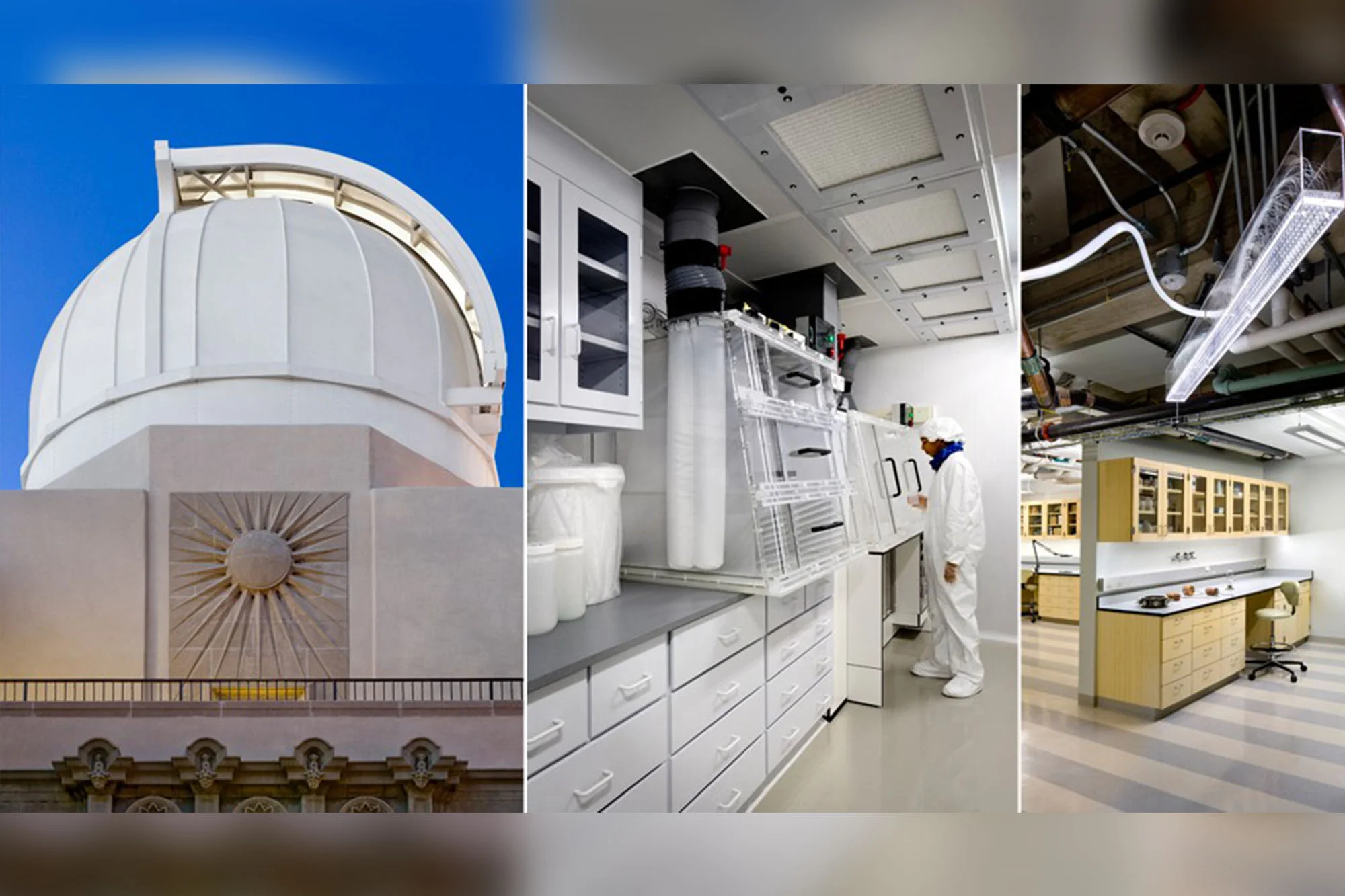 Laboratories_PPC_0006s_0003_Linde Robinson.jpg