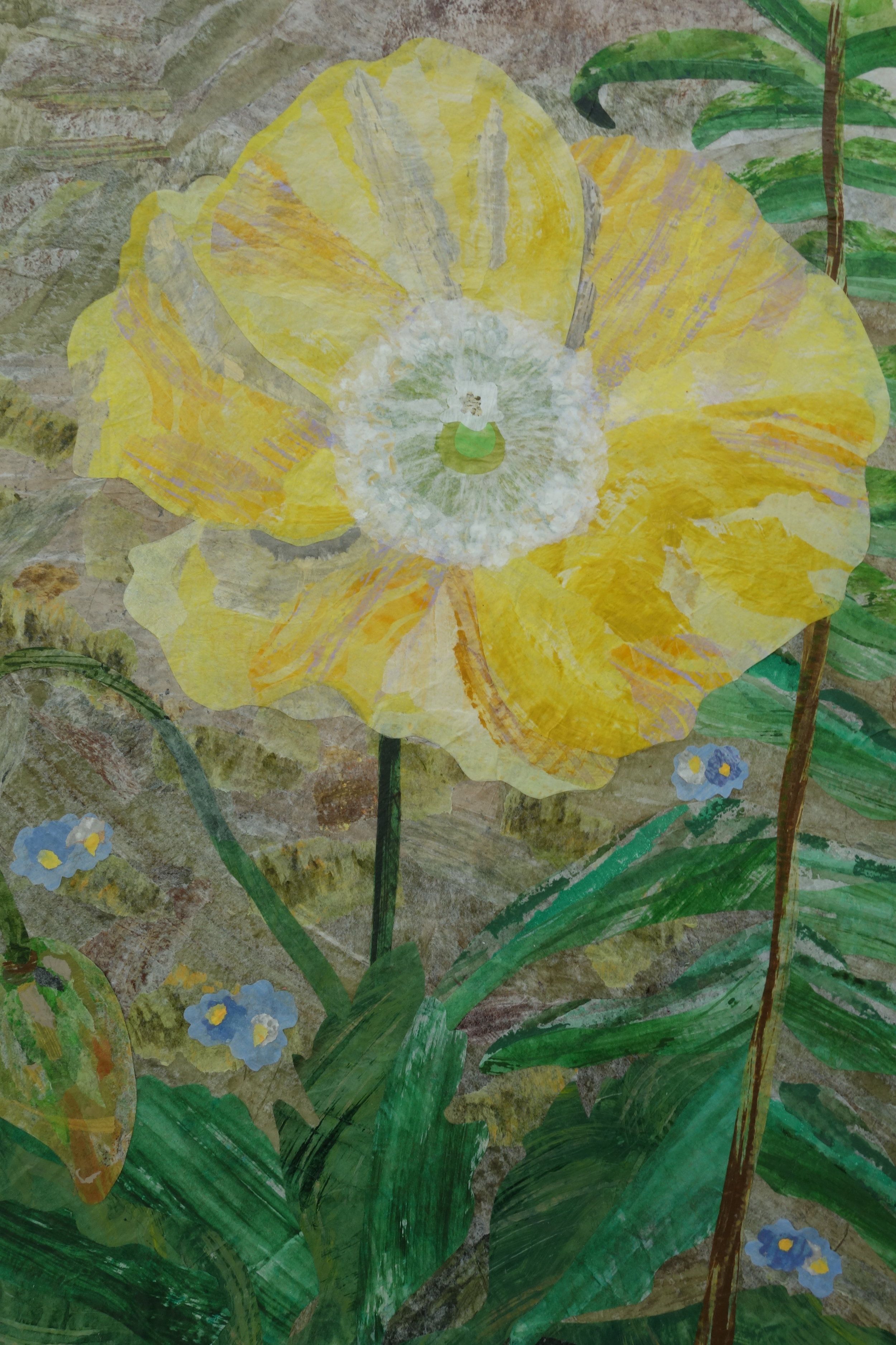 Yellow Poppy