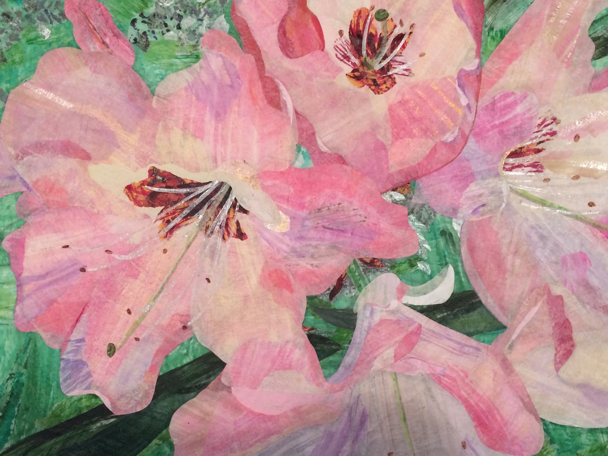Pink Rhododendron - SOLD
