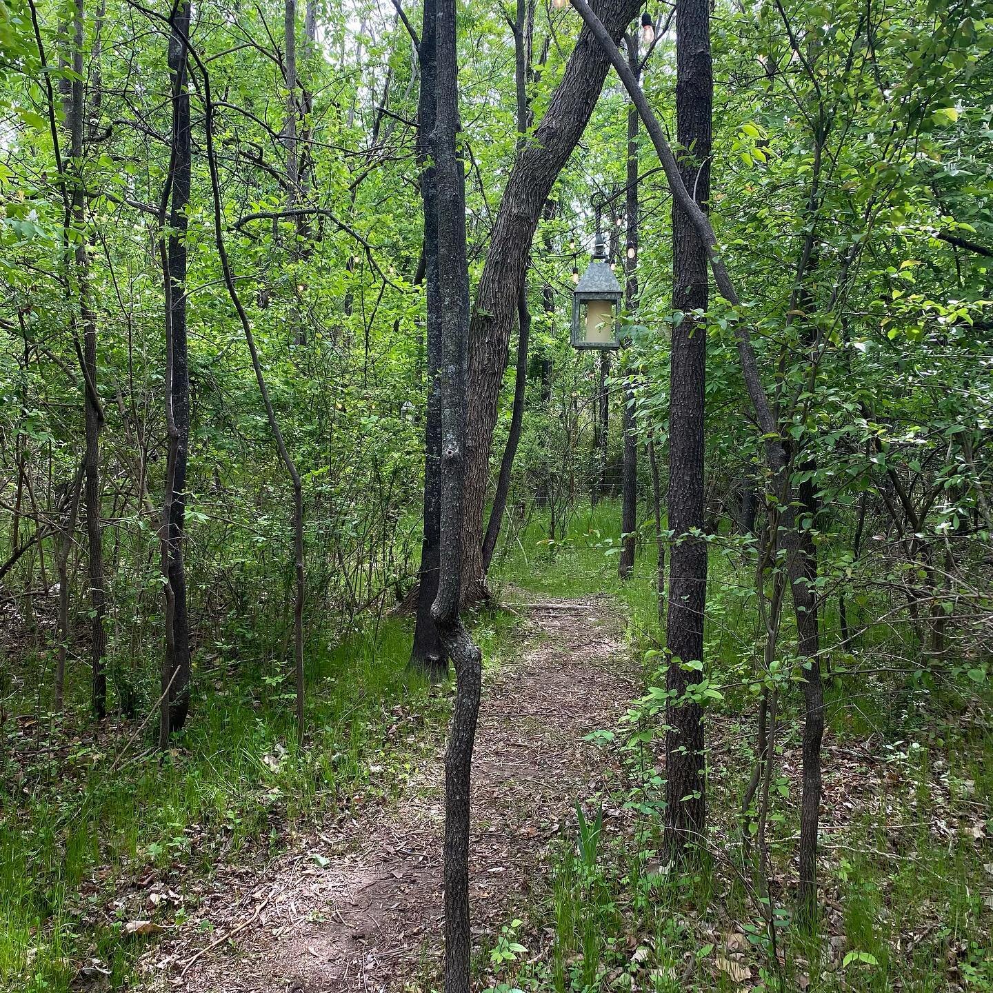 A not so secret path leading to tonight&rsquo;s ceremony.