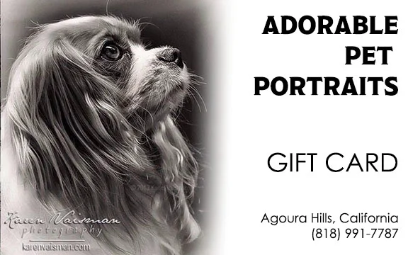 Pet Portrait Gift Cards - Make the Perfect Gift of Love! Any Amount, Use Anytime! Click HERE to order.