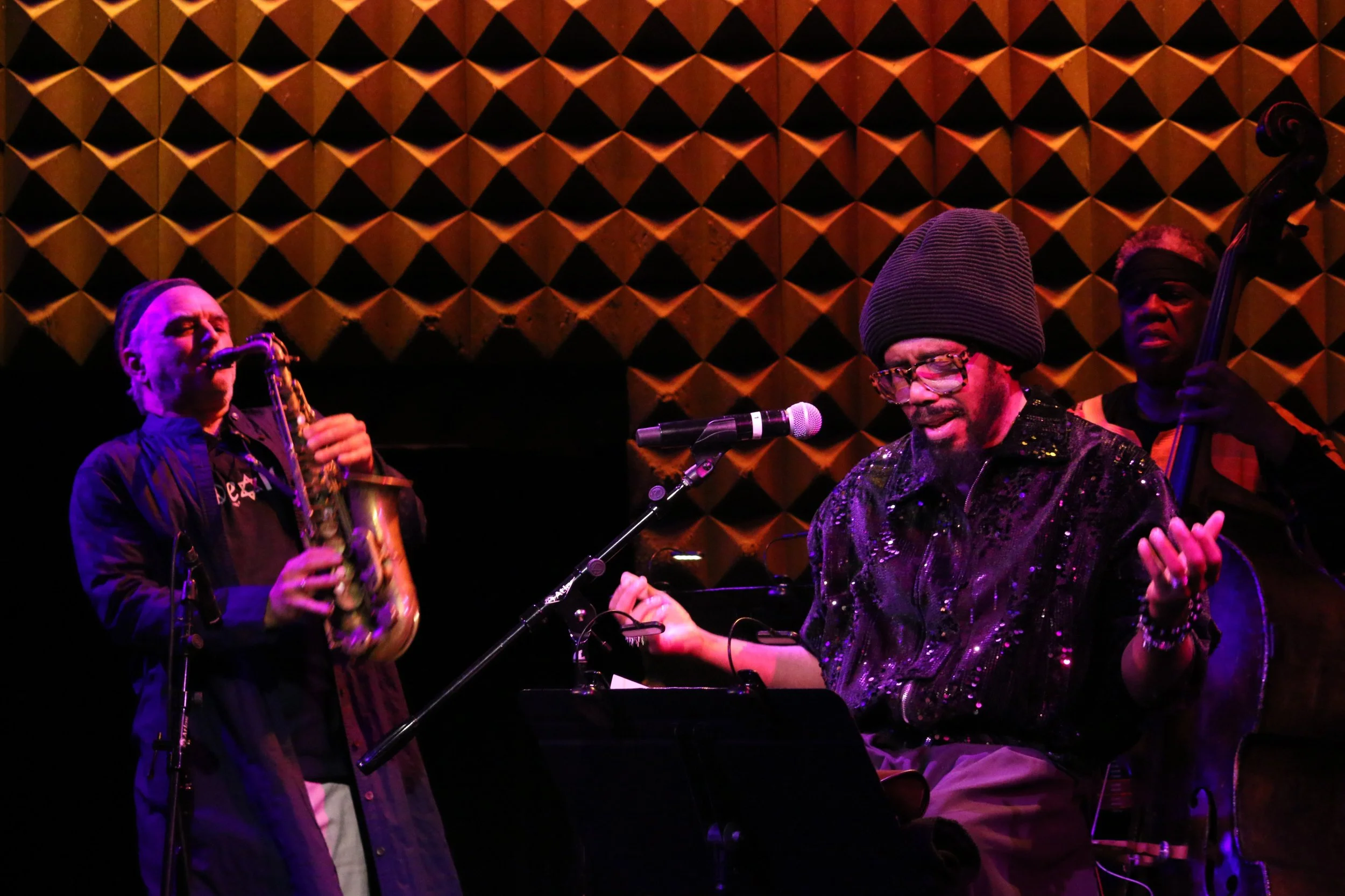 The Afro-Semitic Transcendental Repertory Orchestra  (A.S.T.R.O.) 