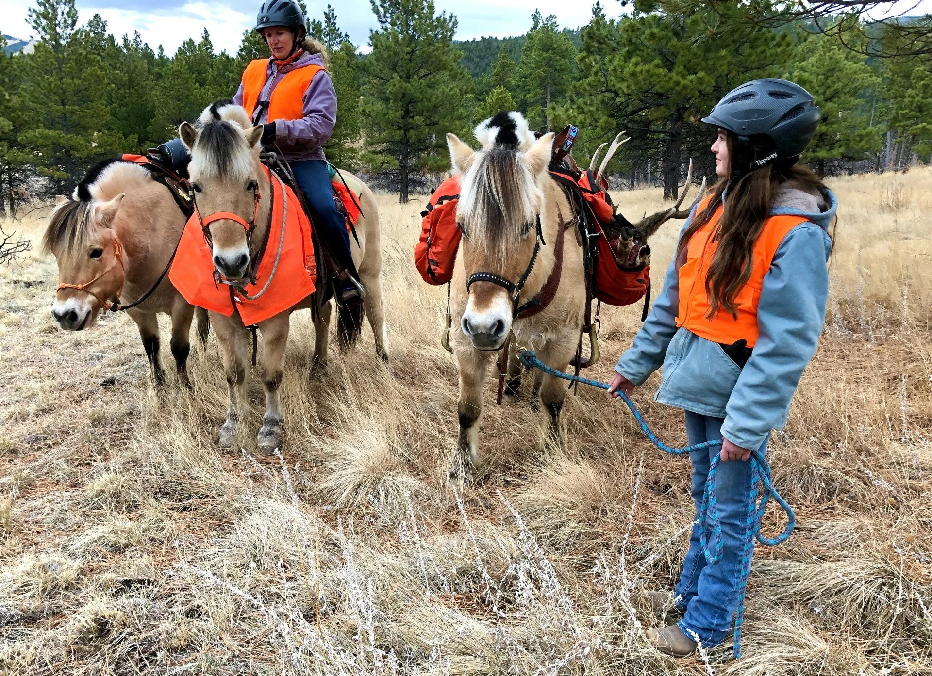Hunting horses with horns.jpg