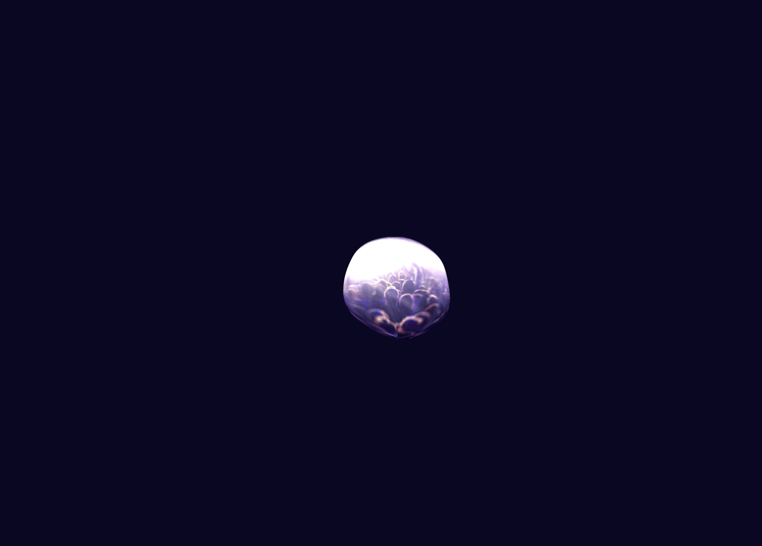 blobience 2.gif