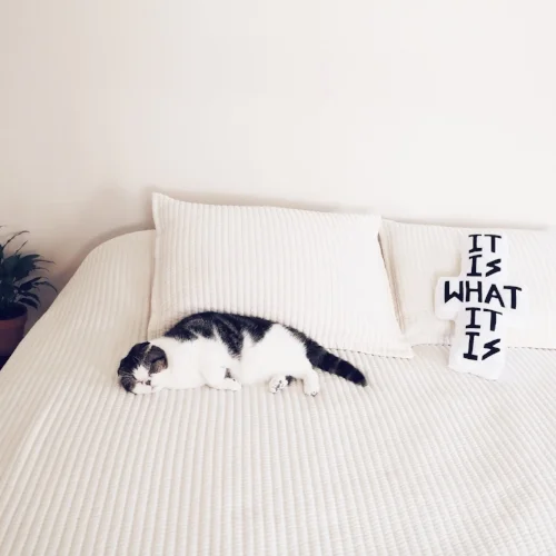 HAND EMBROIDERY - SOFT GOODS