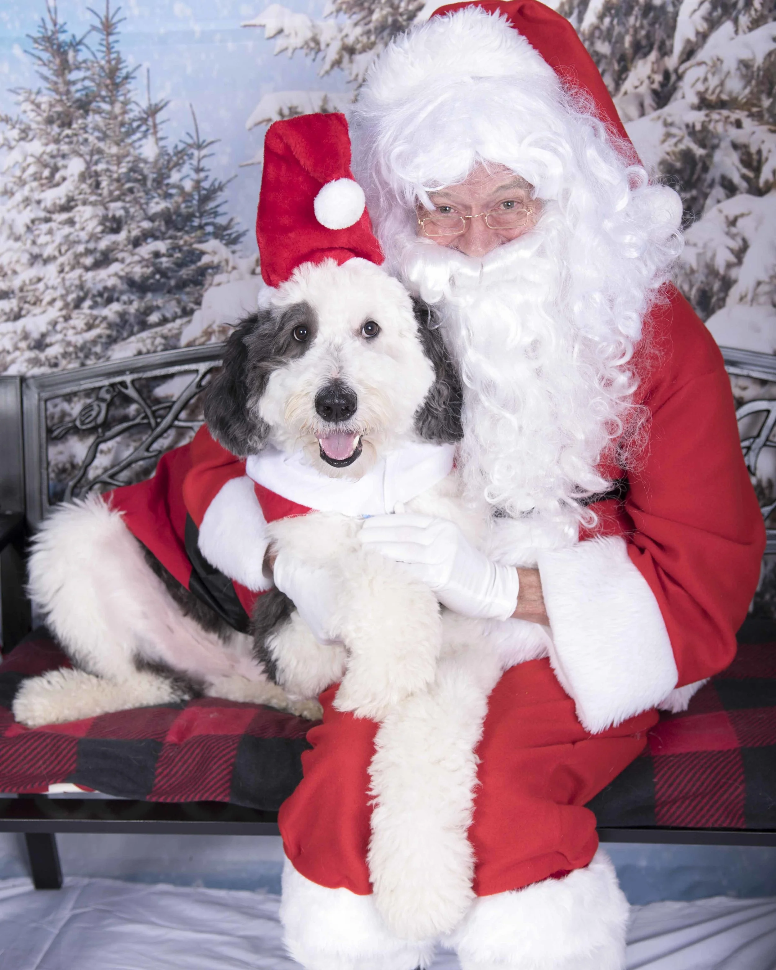 Pet_Santa_12_10_2017_05.jpg