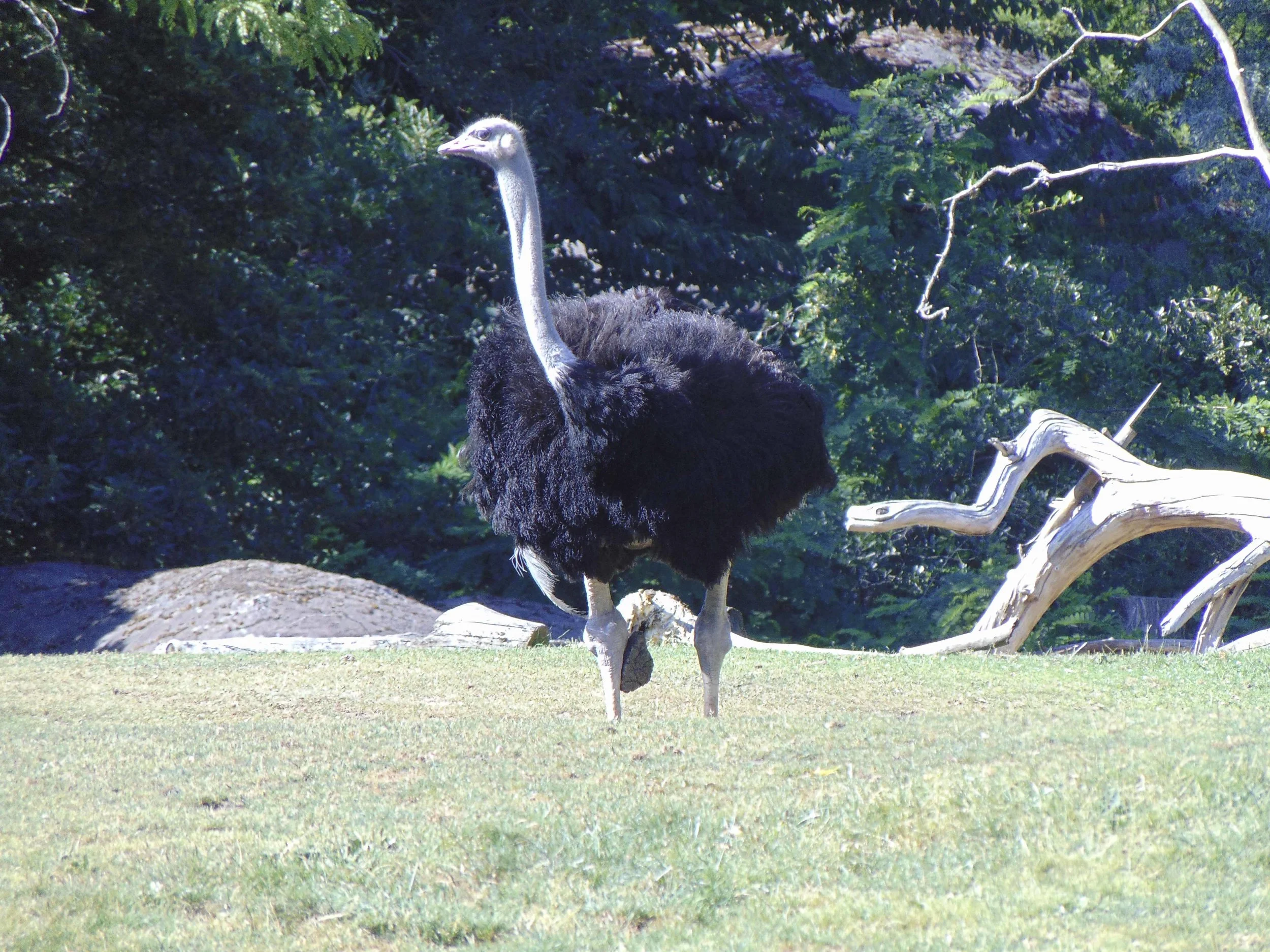 alex_seatle_zoo_07162018_00.jpg