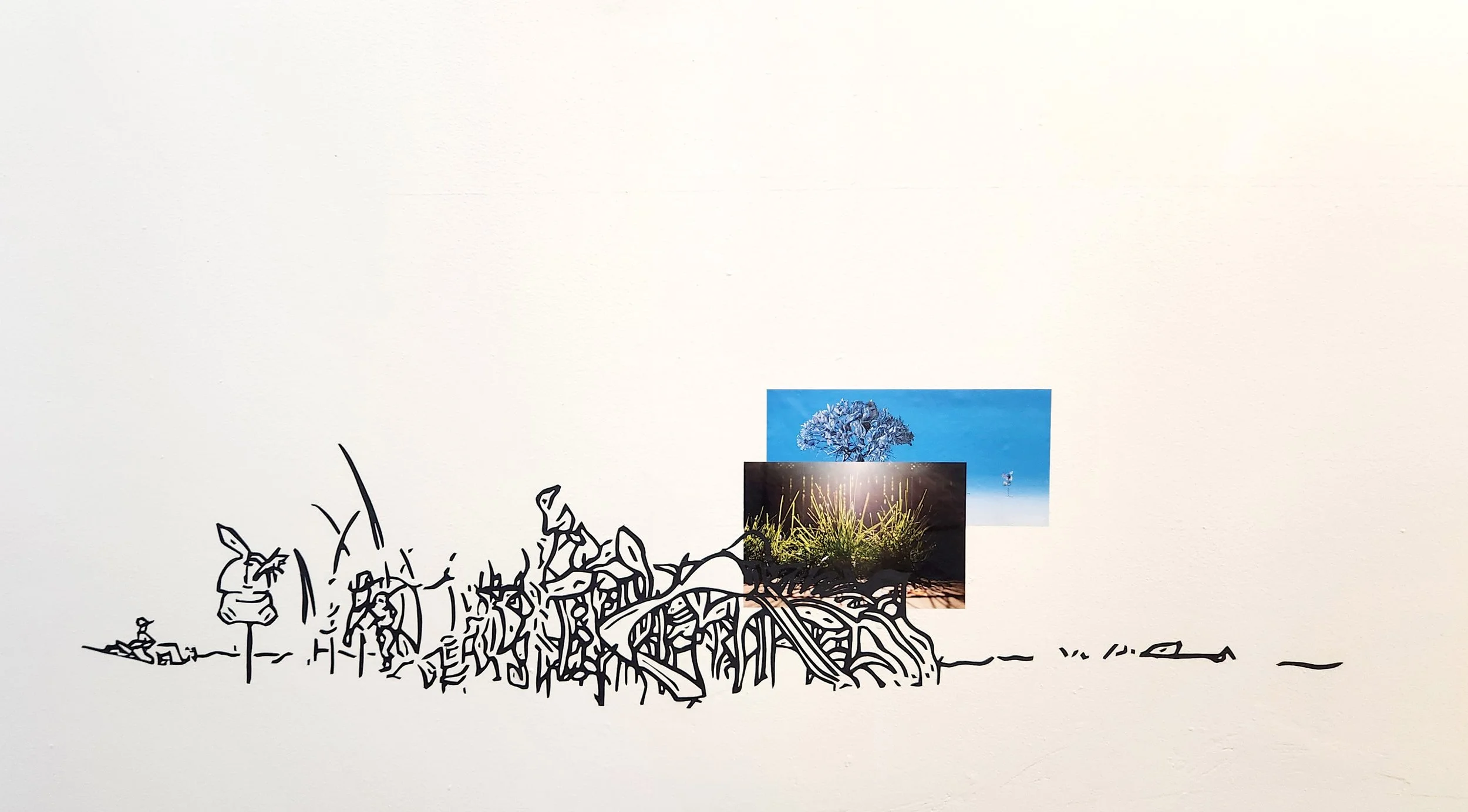 Tracing Days Gallery 501 Window Display