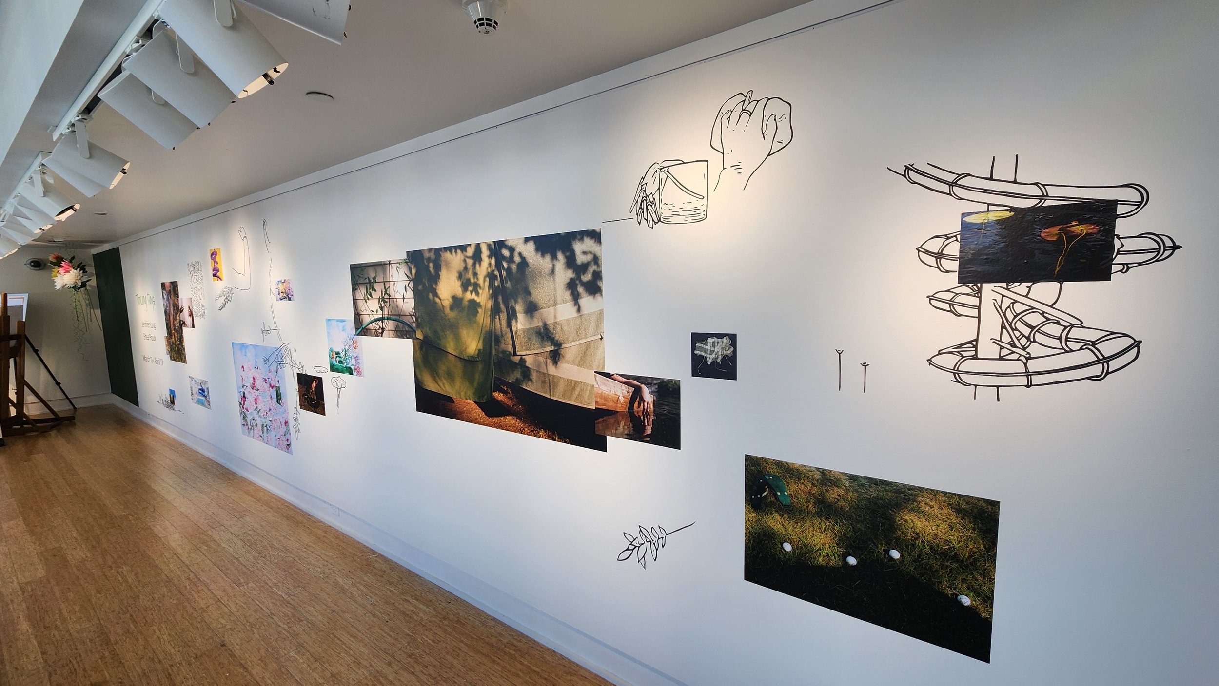 Tracing Days window collaboration