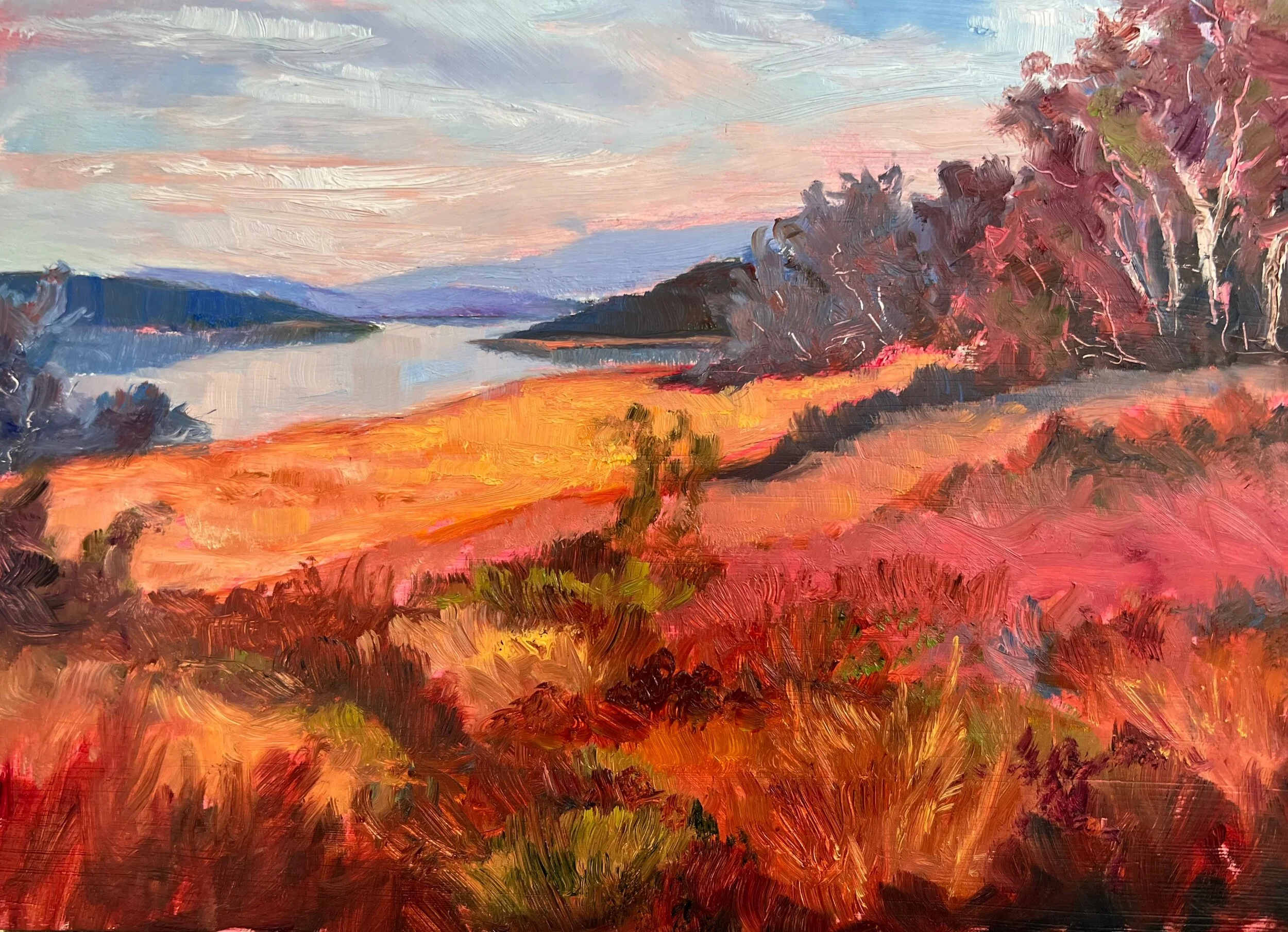 9993074C-B506-4B75-A6CA-EB26E413E89F